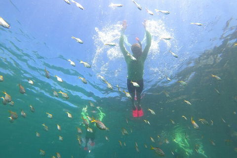 Manly Snorkel Trip And Nature Walk With Local Guide - Hotel VIC 0