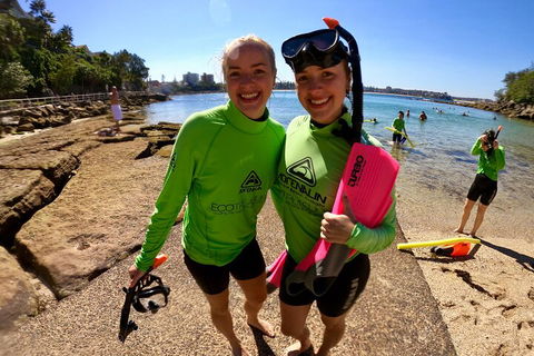 Manly Snorkel Trip And Nature Walk With Local Guide - Hotel VIC 1