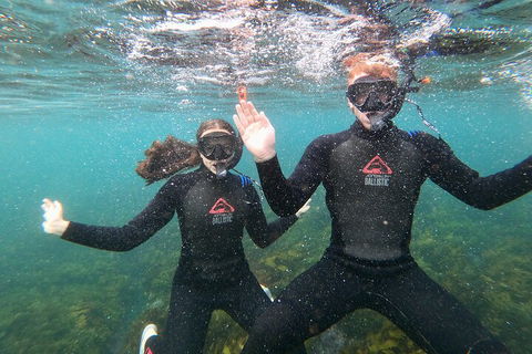 Manly Snorkel Trip And Nature Walk With Local Guide - Hotel VIC 3