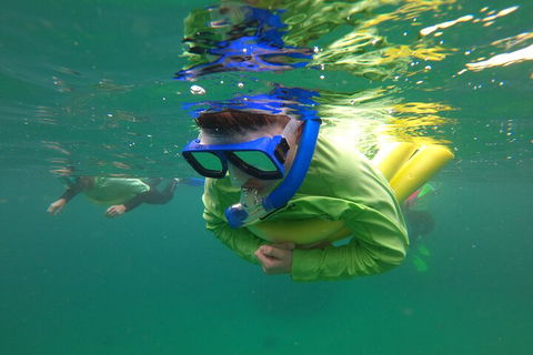 Manly Snorkel Trip And Nature Walk With Local Guide - Hotel VIC 5