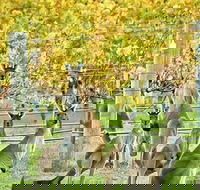 Margaret River Indulge and Discover Day Tour - Hotel VIC