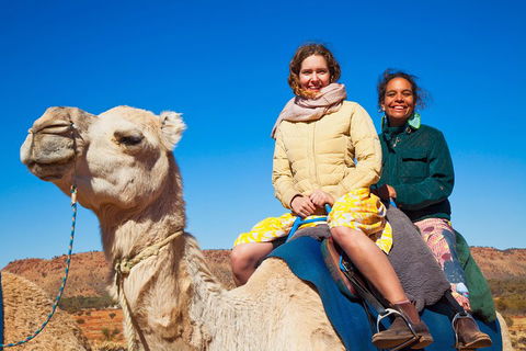 Alice Springs Camel Tour - Hotel VIC 3
