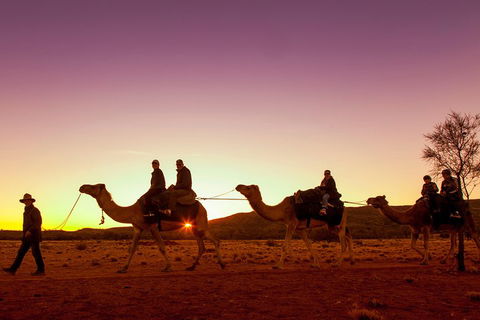 Alice Springs Camel Tour - Hotel VIC 4