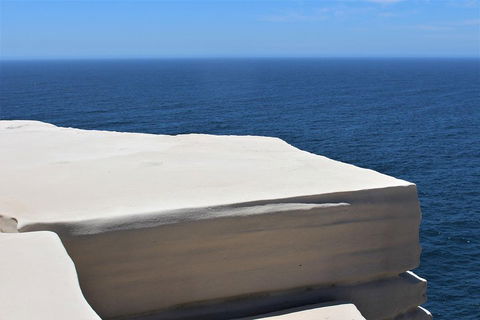 Royal National Park Tour - Hotel VIC 0