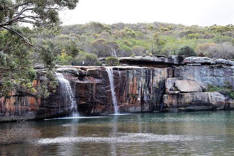 Royal National Park Tour - Hotel VIC 1