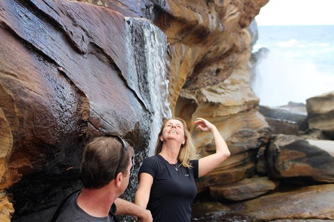 Royal National Park Tour - Hotel VIC 4