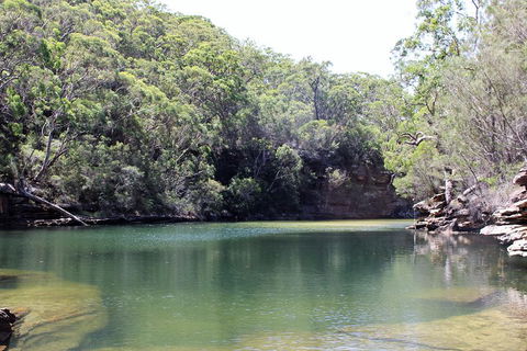 Royal National Park Tour - Hotel VIC 5