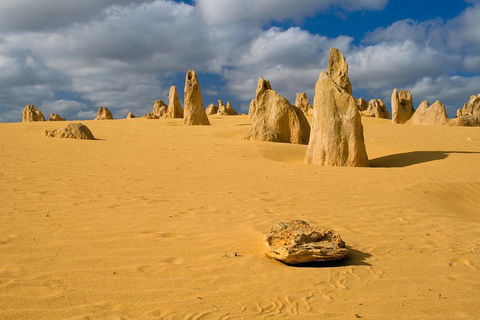 The Pinnacles, Sea And Dunescapes, Bush Reserve And Sunset Day Tour - Hotel VIC 0