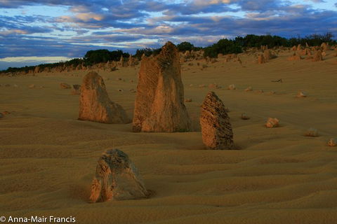 The Pinnacles, Sea And Dunescapes, Bush Reserve And Sunset Day Tour - Hotel VIC 1