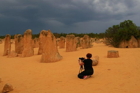 The Pinnacles, Sea And Dunescapes, Bush Reserve And Sunset Day Tour - Hotel VIC 2
