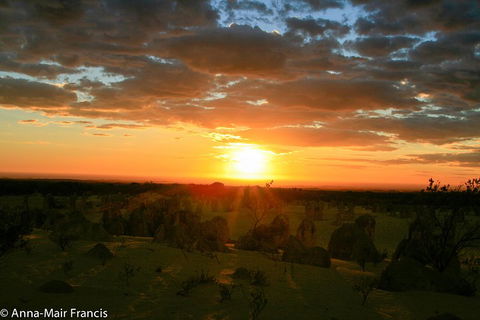 The Pinnacles, Sea And Dunescapes, Bush Reserve And Sunset Day Tour - Hotel VIC 3