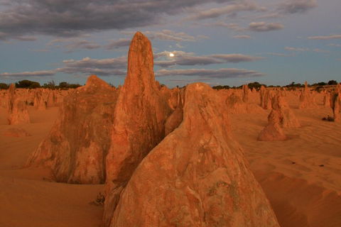 The Pinnacles, Sea And Dunescapes, Bush Reserve And Sunset Day Tour - Hotel VIC 4