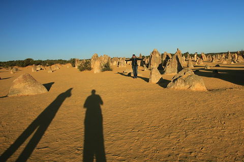 The Pinnacles, Sea And Dunescapes, Bush Reserve And Sunset Day Tour - Hotel VIC 5