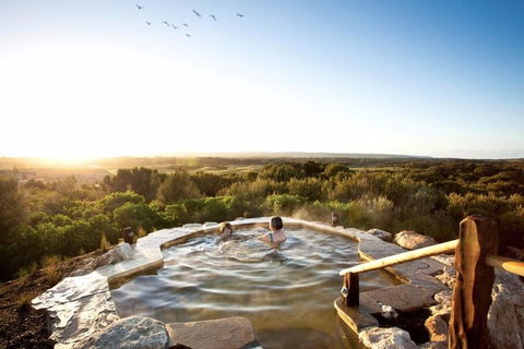 Peninsula Hot Springs & Wine Tasting - Day Tour - Hotel VIC 0