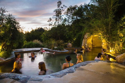 Peninsula Hot Springs & Wine Tasting - Day Tour - Hotel VIC 3