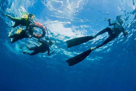 Passions Of Paradise Great Barrier Reef Snorkel And Dive Cruise From Cairns By Luxury Catamaran - Hotel VIC 2