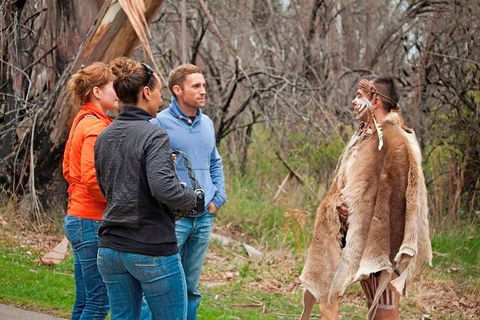 Blue Mountains Tour From Sydney With An Aboriginal Experience - Hotel VIC 3