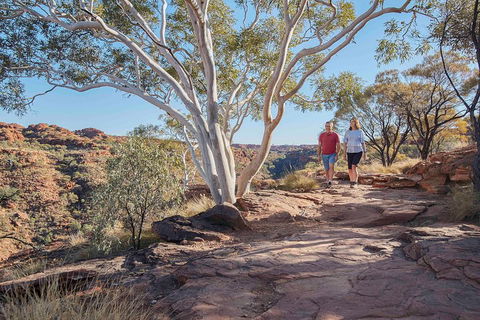 3-Day Tour From Uluru (Ayers Rock) To Alice Springs Via Kings Canyon - Hotel VIC 1