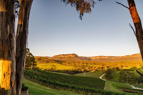 Taste Of The Blue Mountains - Lunch & Wine Tasting, Beer, Cider & Gin Tasting - Hotel VIC 1