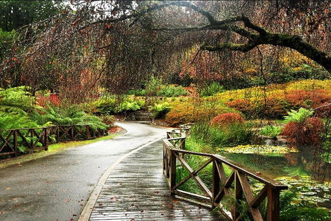 Discover Tour: Dandenong Ranges & William Ricketts Sanctuary - Hotel VIC 3