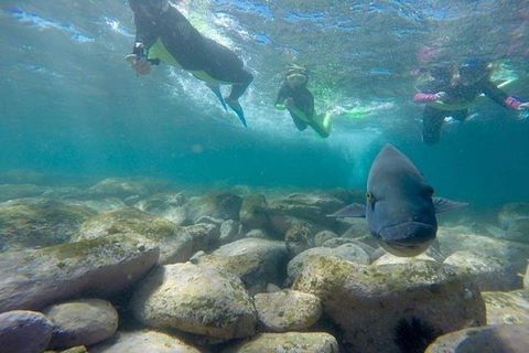 Manly And Shelly Beach Snorkeling Tour - Hotel VIC 0