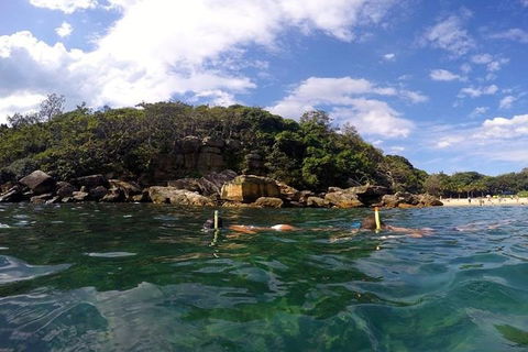 Manly And Shelly Beach Snorkeling Tour - Hotel VIC 4
