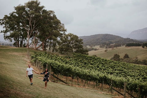 Luxury Blue Mountains Tour With Aussie BBQ Lunch And Wine Tasting - Hotel VIC 3