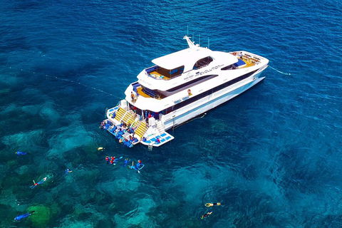 Great Barrier Reef Snorkeling And Diving Cruise From Cairns - Hotel VIC 5