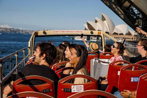 Hop-On Hop-Off Bus And PLUS 4 Merlin Attractions - Hotel VIC 1