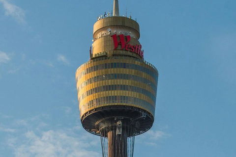 Hop-On Hop-Off Bus And PLUS 4 Merlin Attractions - Hotel VIC 3