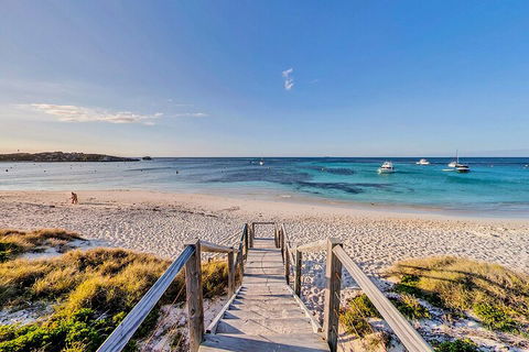 Discover Rottnest With Ferry & Bus Tour From Perth Or Fremantle - Hotel VIC 4