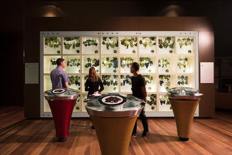 Australian Wine Discovery Tour With Tastings - Hotel VIC 4