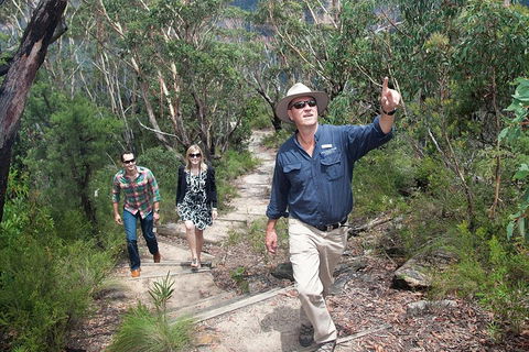 Small-Group Blue Mountains Tour With Bush Walks And Featherdale Wildlife Park - Hotel VIC 0