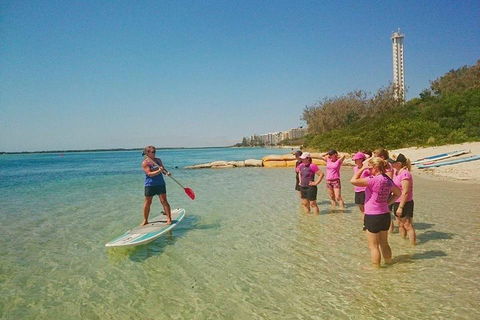 Golden Beach 1-Hour Stand-Up Paddleboard Hire On The Sunshine Coast - Hotel VIC 1