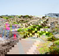 Margaret River Coastal and Wildlife Eco Trip from Busselton or Dunsborough - Hotel VIC